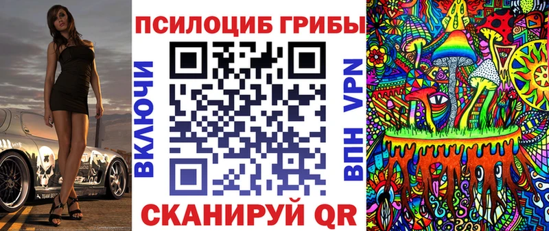 Галлюциногенные грибы мицелий хочу Будённовск